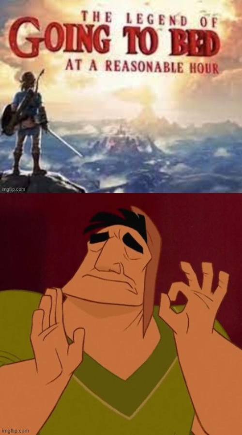 Perfection | image tagged in the legend of going to bed at a reasonable hour,when x just right,pacha perfect,the legend of zelda breath of the wild | made w/ Imgflip meme maker