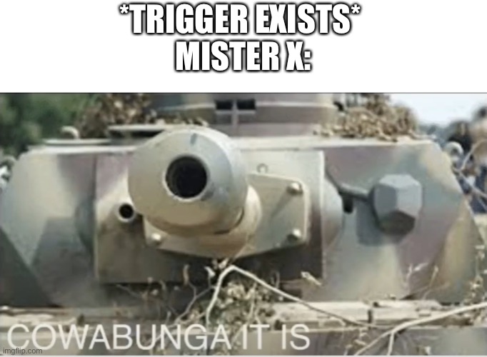 Another Ace combat meme | *TRIGGER EXISTS* 
MISTER X: | image tagged in panzer cowabunga it is,ace combat,cowabunga it is | made w/ Imgflip meme maker