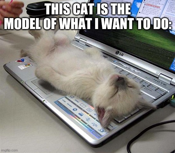 this cat | THIS CAT IS THE MODEL OF WHAT I WANT TO DO: | image tagged in cat,me | made w/ Imgflip meme maker