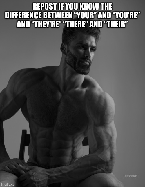 Giga Chad | REPOST IF YOU KNOW THE DIFFERENCE BETWEEN “YOUR” AND “YOU’RE” AND “THEY’RE” “THERE” AND “THEIR” | image tagged in giga chad | made w/ Imgflip meme maker