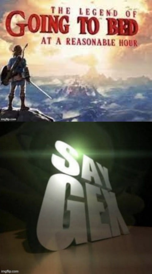 image tagged in say gex | made w/ Imgflip meme maker