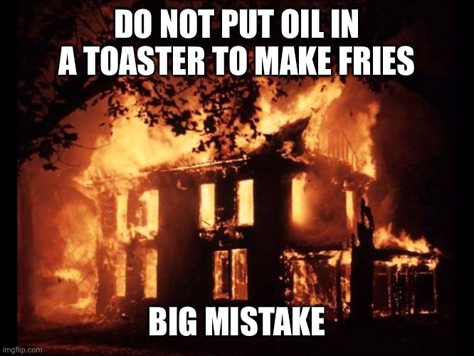 Pls don’t do it | DO NOT PUT OIL IN A TOASTER TO MAKE FRIES; BIG MISTAKE | image tagged in house on fire,big mistake | made w/ Imgflip meme maker