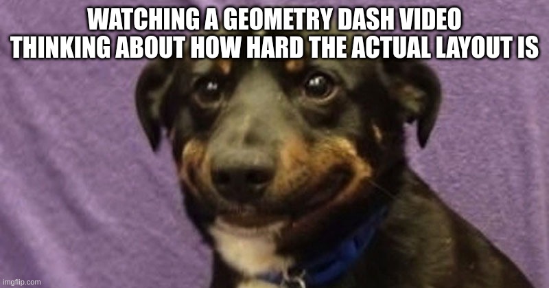 anxiety | WATCHING A GEOMETRY DASH VIDEO THINKING ABOUT HOW HARD THE ACTUAL LAYOUT IS | image tagged in anxiety dog | made w/ Imgflip meme maker