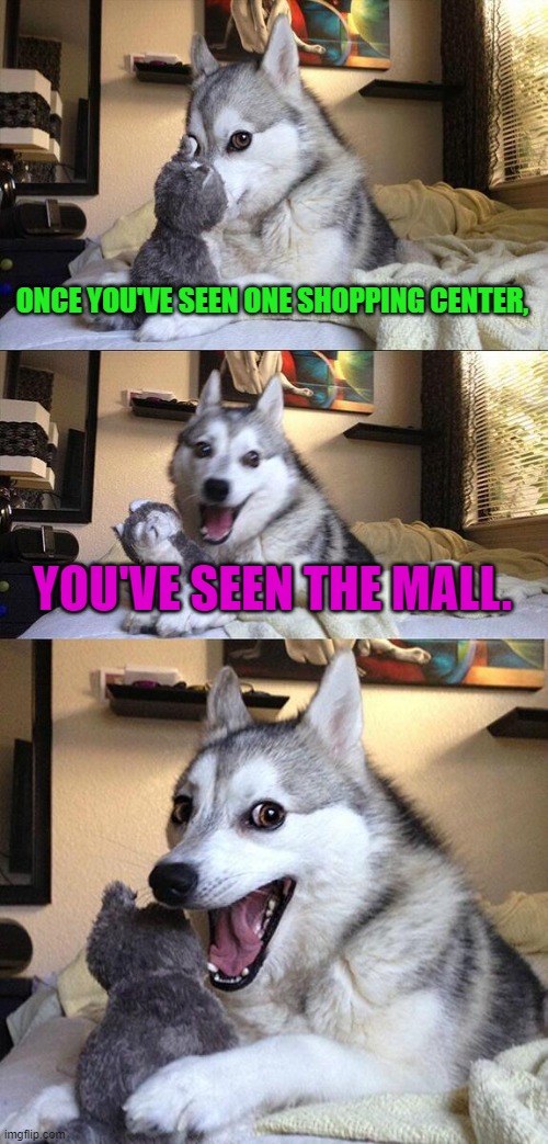 Bad Pun Dog | ONCE YOU'VE SEEN ONE SHOPPING CENTER, YOU'VE SEEN THE MALL. | image tagged in memes,bad pun dog,dad joke,funny | made w/ Imgflip meme maker