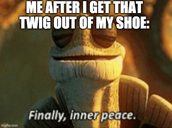 It feels so nice afterwards | ME AFTER I GET THAT TWIG OUT OF MY SHOE: | image tagged in finally inner peace | made w/ Imgflip meme maker