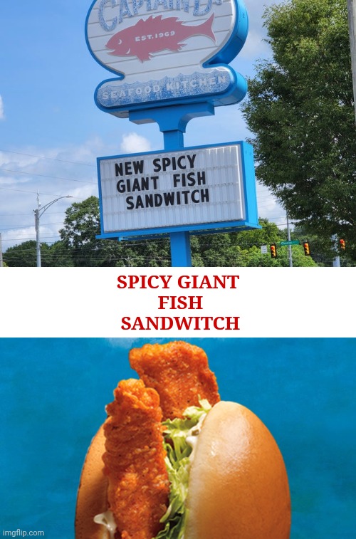 Spicy Giant Fish Sandwitch | SPICY GIANT
   FISH  
  SANDWITCH | image tagged in fish sandwich,you had one job,memes,fish,sandwich,spelling error | made w/ Imgflip meme maker