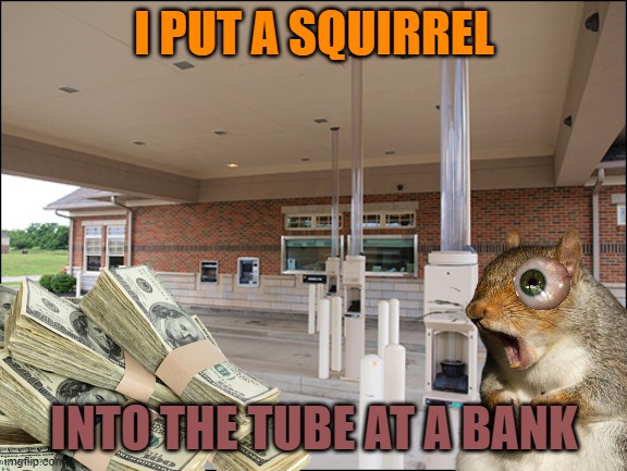 That'll Show Em' | I PUT A SQUIRREL; INTO THE TUBE AT A BANK | image tagged in squirrel,funny,meme,bank | made w/ Imgflip meme maker