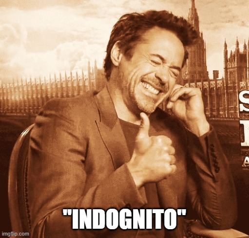 laughing | "INDOGNITO" | image tagged in laughing | made w/ Imgflip meme maker