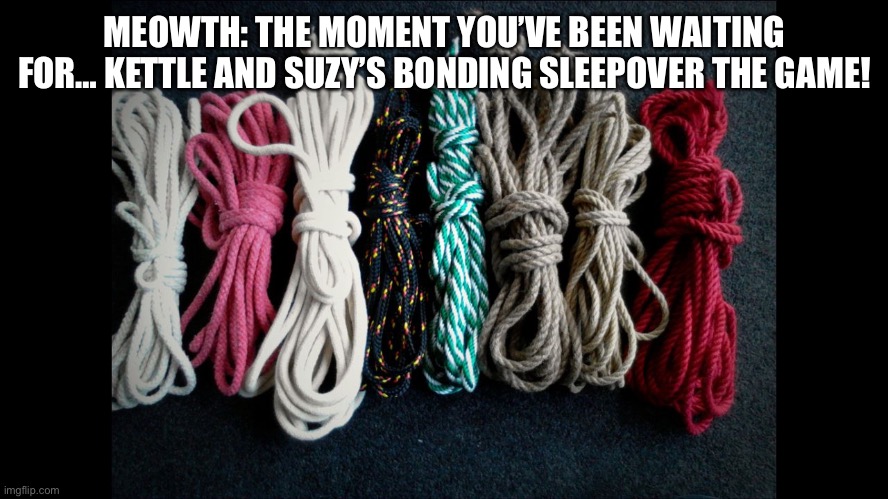A new game! | MEOWTH: THE MOMENT YOU’VE BEEN WAITING FOR… KETTLE AND SUZY’S BONDING SLEEPOVER THE GAME! | image tagged in bondage ropes | made w/ Imgflip meme maker