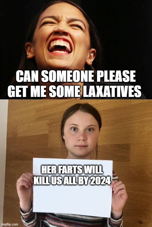 CAN SOMEONE PLEASE GET ME SOME LAXATIVES; HER FARTS WILL KILL US ALL BY 2024 | image tagged in greta | made w/ Imgflip meme maker