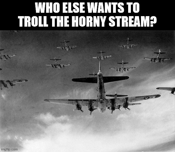 L horny stream | WHO ELSE WANTS TO
TROLL THE HORNY STREAM? | image tagged in b-17 to germany | made w/ Imgflip meme maker