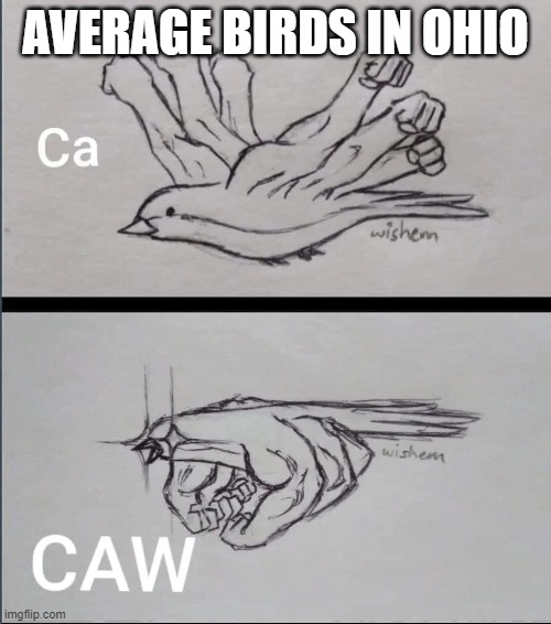 bids in ohio | AVERAGE BIRDS IN OHIO | image tagged in bird with arms | made w/ Imgflip meme maker