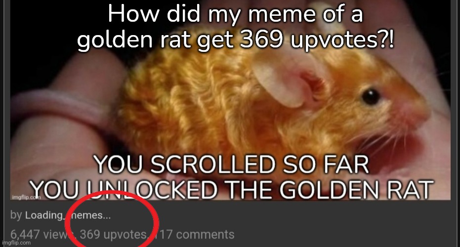 The glory of the Golden rat named George |  How did my meme of a golden rat get 369 upvotes?! | image tagged in george,rats,upvotes | made w/ Imgflip meme maker