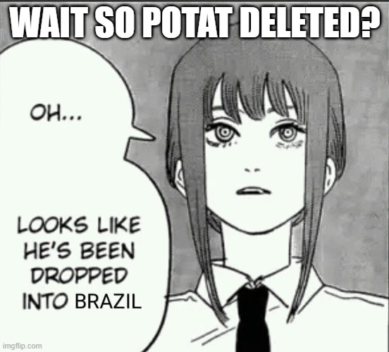 i saw an image earlier and i wanna see if she really did | WAIT SO POTAT DELETED? | image tagged in maxima brazil | made w/ Imgflip meme maker