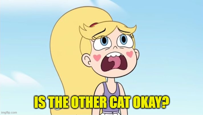 Star butterfly | IS THE OTHER CAT OKAY? | image tagged in star butterfly | made w/ Imgflip meme maker