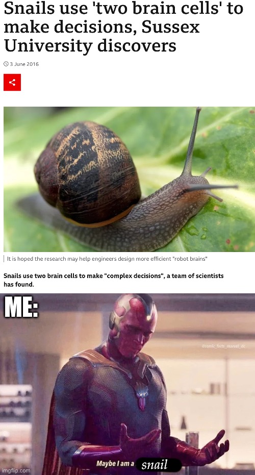 Snail brain | ME:; snail | image tagged in maybe i am a monster blank,snail,brain cells,decisions | made w/ Imgflip meme maker