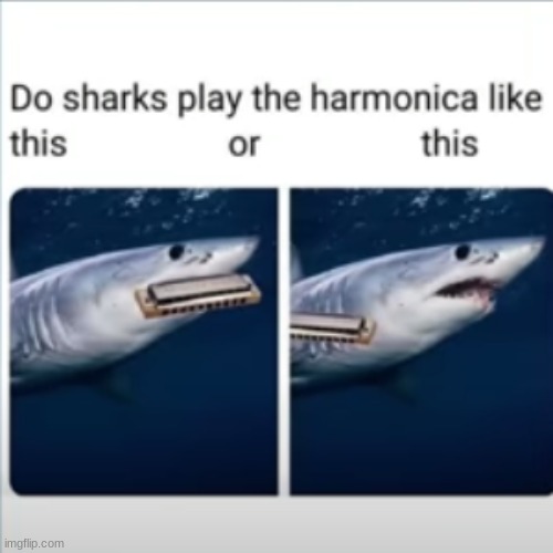 idk | image tagged in shower thoughts | made w/ Imgflip meme maker