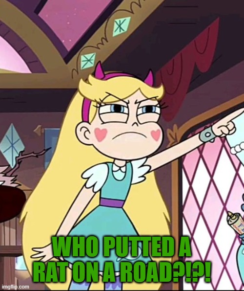 Star Butterfly Pointing | WHO PUTTED A RAT ON A ROAD?!?! | image tagged in star butterfly pointing | made w/ Imgflip meme maker
