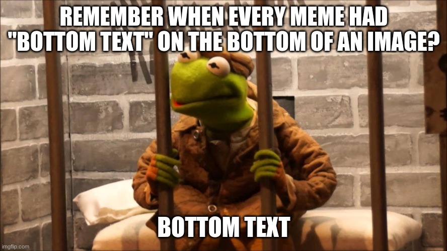 . | REMEMBER WHEN EVERY MEME HAD "BOTTOM TEXT" ON THE BOTTOM OF AN IMAGE? BOTTOM TEXT | image tagged in kermit in jail | made w/ Imgflip meme maker