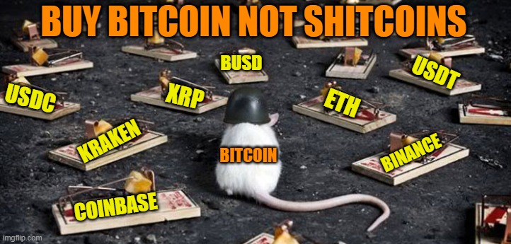 BITCOIN ONLY | BUY BITCOIN NOT SHITCOINS; BUSD; USDT; XRP; USDC; ETH; KRAKEN; BITCOIN; BINANCE; COINBASE | image tagged in mine minefield trap cheese mouse | made w/ Imgflip meme maker