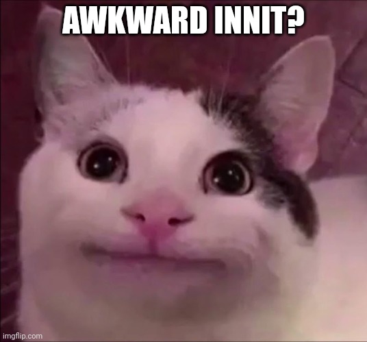 Awkward Smile Cat | AWKWARD INNIT? | image tagged in awkward smile cat | made w/ Imgflip meme maker