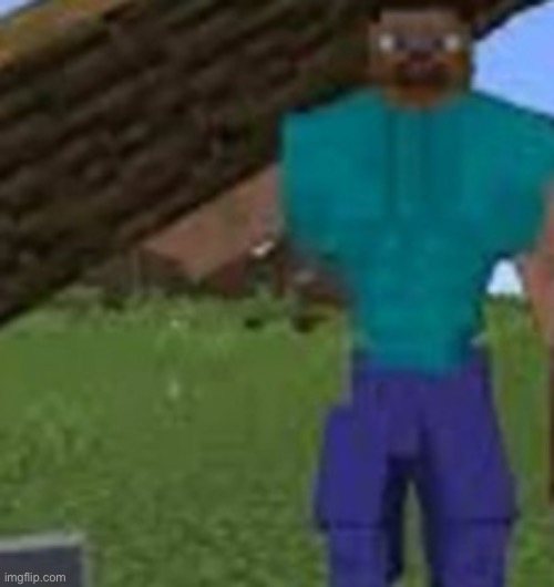 Minecraft Buff Steve | image tagged in minecraft buff steve | made w/ Imgflip meme maker