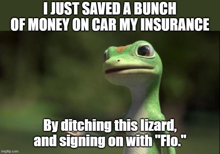 Geico Gecko | I JUST SAVED A BUNCH OF MONEY ON CAR MY INSURANCE; By ditching this lizard, and signing on with "Flo." | image tagged in geico gecko | made w/ Imgflip meme maker