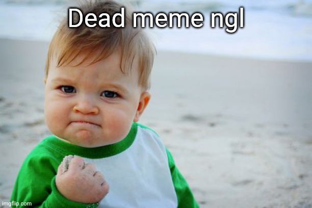 Success Kid Original Meme | Dead meme ngl | image tagged in memes,success kid original | made w/ Imgflip meme maker