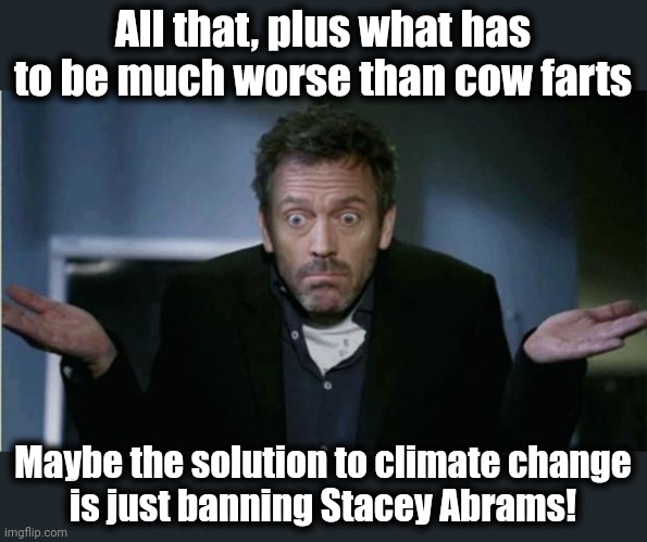 SHRUG | All that, plus what has to be much worse than cow farts Maybe the solution to climate change
is just banning Stacey Abrams! | image tagged in shrug | made w/ Imgflip meme maker