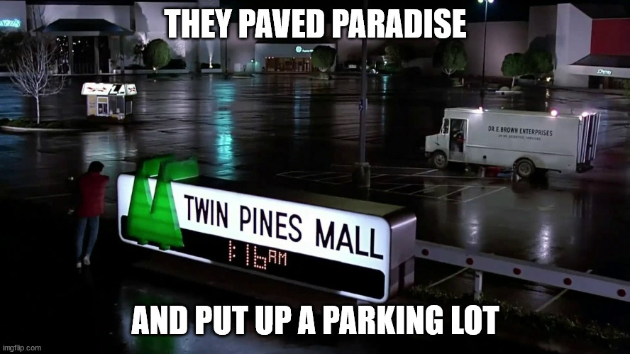 twin pines mall | THEY PAVED PARADISE; AND PUT UP A PARKING LOT | image tagged in twin pines mall | made w/ Imgflip meme maker