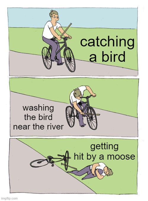 a Hatchet moment | catching a bird; washing the bird near the river; getting hit by a moose | image tagged in memes,bike fall | made w/ Imgflip meme maker