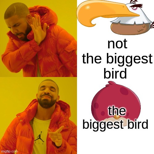 how angry bird fans be like | not the biggest bird; the biggest bird | image tagged in memes,drake hotline bling | made w/ Imgflip meme maker