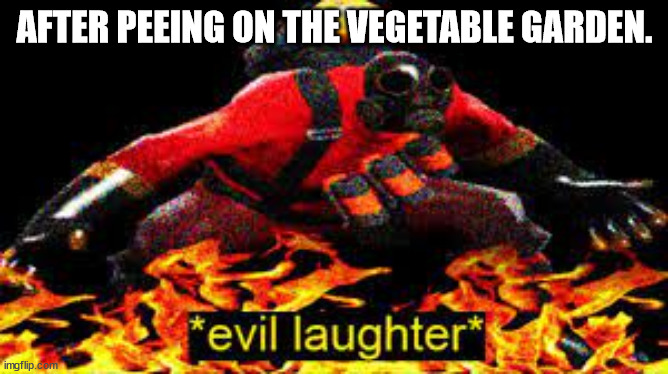 *evil laughter* | AFTER PEEING ON THE VEGETABLE GARDEN. | image tagged in evil laughter | made w/ Imgflip meme maker