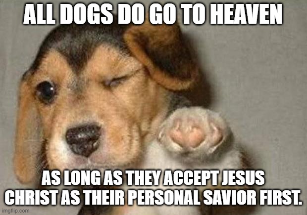 Winking Dog | ALL DOGS DO GO TO HEAVEN; AS LONG AS THEY ACCEPT JESUS CHRIST AS THEIR PERSONAL SAVIOR FIRST. | image tagged in winking dog | made w/ Imgflip meme maker