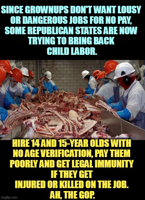 SINCE GROWNUPS DON'T WANT LOUSY 
OR DANGEROUS JOBS FOR NO PAY, 
SOME REPUBLICAN STATES ARE NOW 
TRYING TO BRING BACK 
CHILD LABOR. HIRE 14 AND 15-YEAR OLDS WITH 

NO AGE VERIFICATION, PAY THEM 
POORLY AND GET LEGAL IMMUNITY 
IF THEY GET 
INJURED OR KILLED ON THE JOB. 
AH, THE GOP. | image tagged in republicans,child labor,cruel,injury,killed,exploitation | made w/ Imgflip meme maker