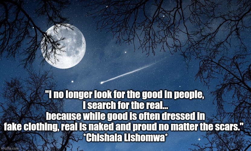 Be Real | "I no longer look for the good in people, 
I search for the real... because while good is often dressed in fake clothing, real is naked and proud no matter the scars."  
*Chishala Lishomwa* | image tagged in real life | made w/ Imgflip meme maker