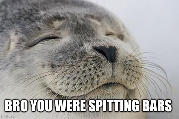 BRO YOU WERE SPITTING BARS | image tagged in memes,satisfied seal | made w/ Imgflip meme maker