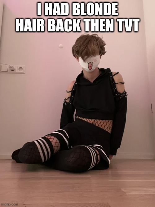 more like dirty blonde | I HAD BLONDE HAIR BACK THEN TVT | made w/ Imgflip meme maker