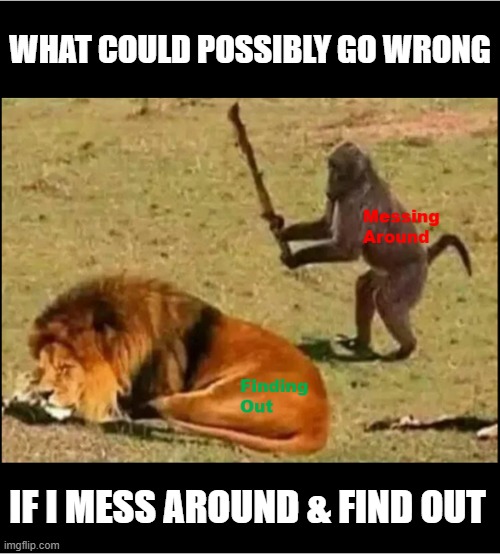 Mess Around They Said | WHAT COULD POSSIBLY GO WRONG; IF I MESS AROUND & FIND OUT | image tagged in mess around find out,monkey business,finding neverland,well well well then lets find out | made w/ Imgflip meme maker
