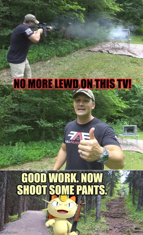 NO MORE LEWD ON THIS TV! GOOD WORK. NOW SHOOT SOME PANTS. | image tagged in guy shooting at tv,path split in forest | made w/ Imgflip meme maker