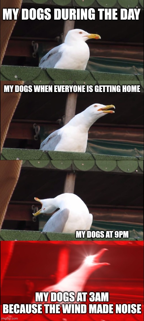 Inhaling Seagull | MY DOGS DURING THE DAY; MY DOGS WHEN EVERYONE IS GETTING HOME; MY DOGS AT 9PM; MY DOGS AT 3AM BECAUSE THE WIND MADE NOISE | image tagged in memes,inhaling seagull | made w/ Imgflip meme maker