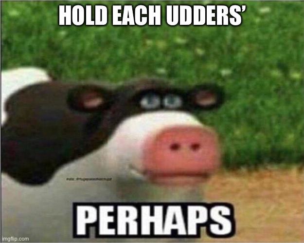 Perhaps Cow | HOLD EACH UDDERS’ | image tagged in perhaps cow | made w/ Imgflip meme maker