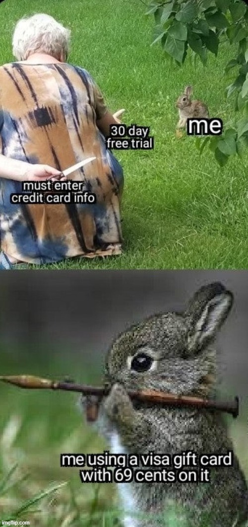 image tagged in memes | made w/ Imgflip meme maker