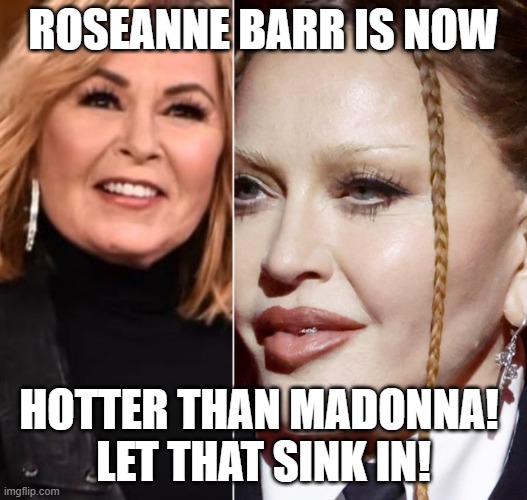 roseanne barr | ROSEANNE BARR IS NOW; HOTTER THAN MADONNA! 
LET THAT SINK IN! | image tagged in roseanne barr,madonna,who wore it better,hot girl | made w/ Imgflip meme maker