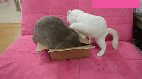 Mah Box - Imgflip