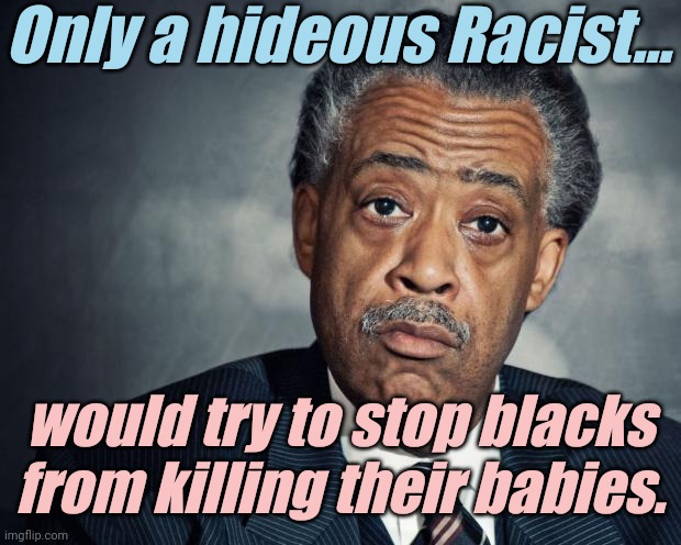 It's our Right to kill our Babies ! | Only a hideous Racist... would try to stop blacks from killing their babies. | image tagged in liberals,democrats,lgbtq,blm,antifa,abortion | made w/ Imgflip meme maker