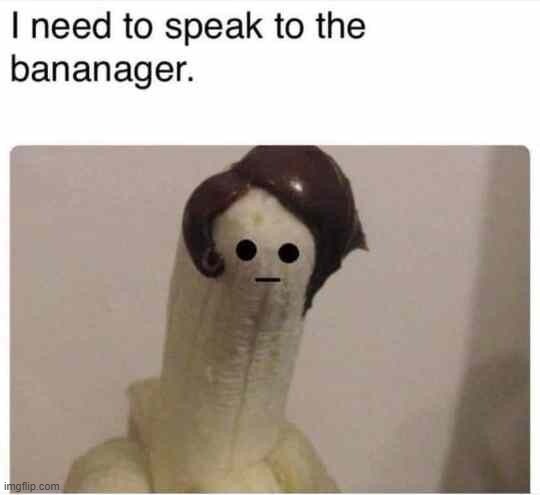 image tagged in puns | made w/ Imgflip meme maker