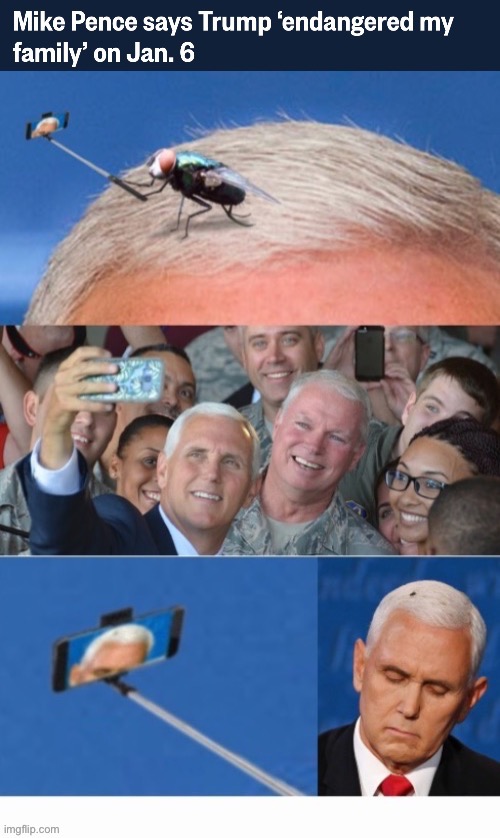 Endangered Species--Too Little/Too Late | image tagged in spineless,shut up,go away,motherf'er,fake christian,fly10 mike zero | made w/ Imgflip meme maker