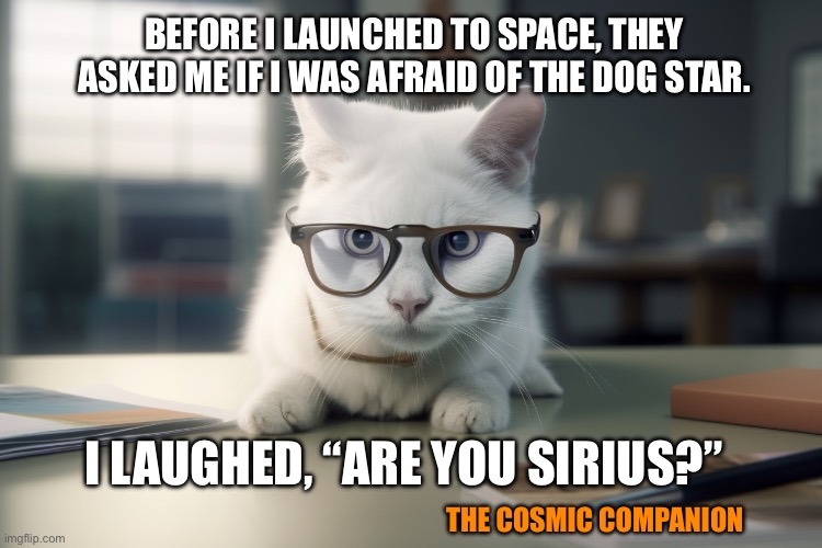 Cat scientist astronaut | BEFORE I LAUNCHED TO SPACE, THEY ASKED ME IF I WAS AFRAID OF THE DOG STAR. I LAUGHED, “ARE YOU SIRIUS?”; THE COSMIC COMPANION | image tagged in scientist cat | made w/ Imgflip meme maker