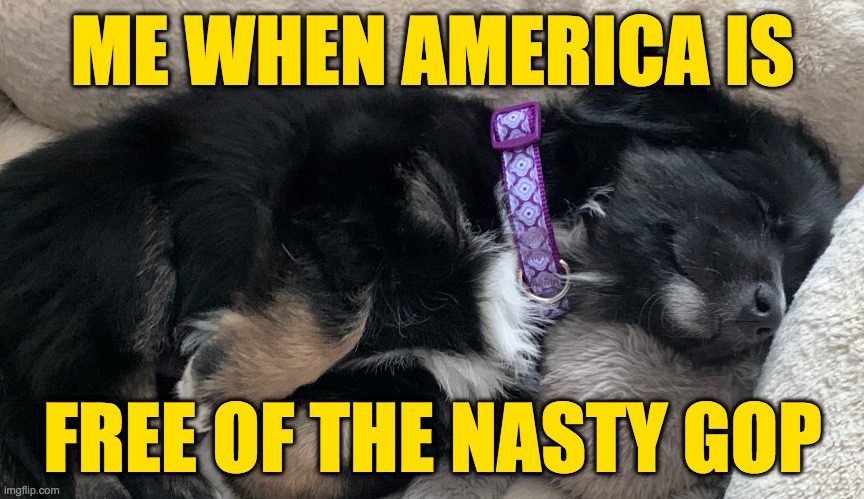 It may only happen in my dreams. | ME WHEN AMERICA IS; FREE OF THE NASTY GOP | image tagged in happy sleeping puppy,memes,nasty gop | made w/ Imgflip meme maker